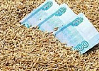 Цены на пшеницу на внутреннем рынке стабилизируются Цены на пшеницу на внутреннем рынке стабилизируются